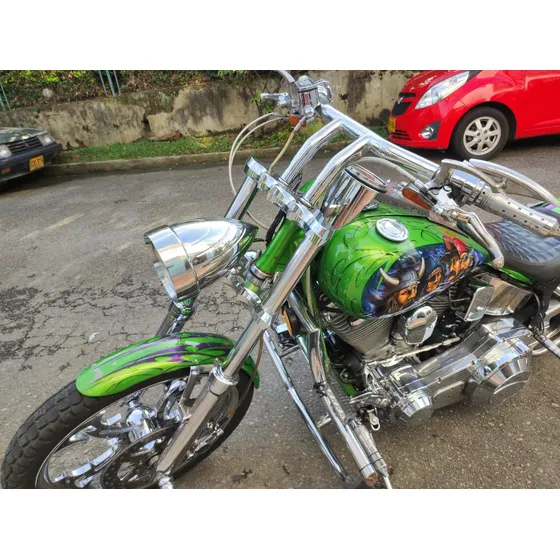 Harley Davidson Softail