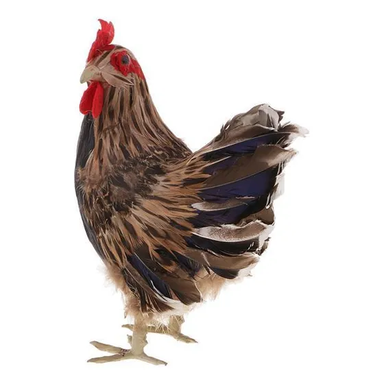 3 Escultura Simulada De La Estatua Del Modelo Del Pollo De