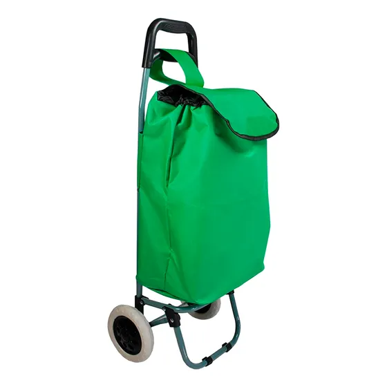 Carrito Bolso Para Mercado Genérico
