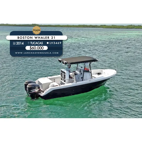 Boston Whaler 21 Lv3469