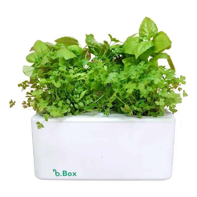 Horta Inteligente 6 Temperos E Chás, 20x20cm - Kit Sol Leve