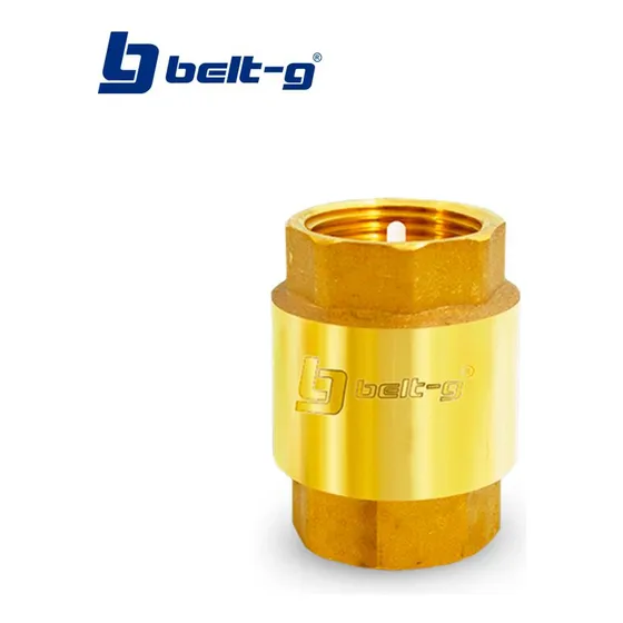 Valvula Check Bronce 3/4 Pulgadas Tipo Europa Belt-g Tienda