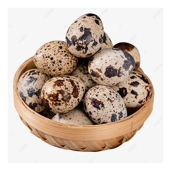 Huevos De Codorniz Al Por Mayor Y Menor
