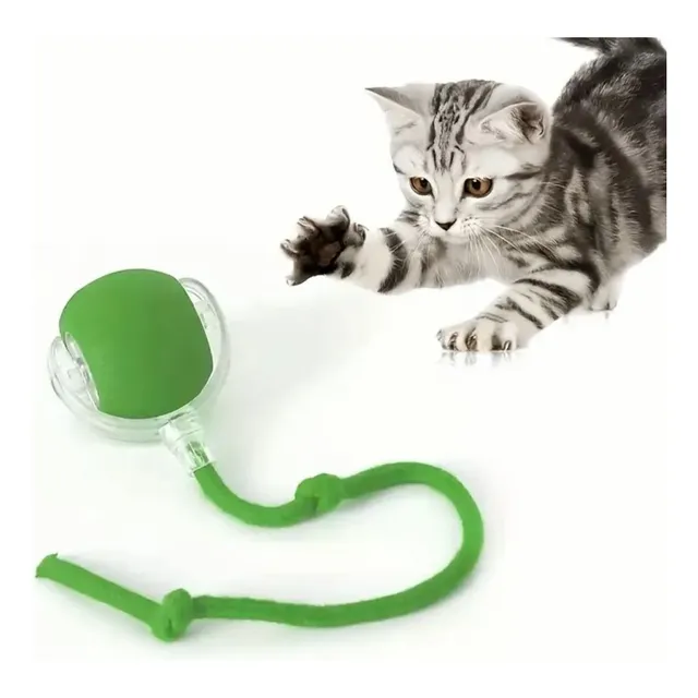 Pelota Juguete Interactivo Para Mascotas Usb