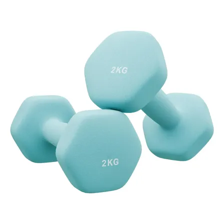 Songmics Par de Halteres Emborrachados 2kg para Musculação Fitness Academia Cor Azul