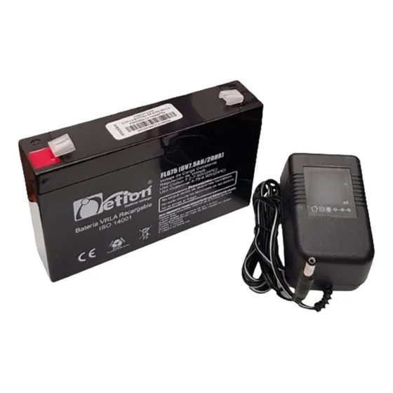 Bateria 6v Y Cargador Para Moto Y Carros Eléctricos De Niños