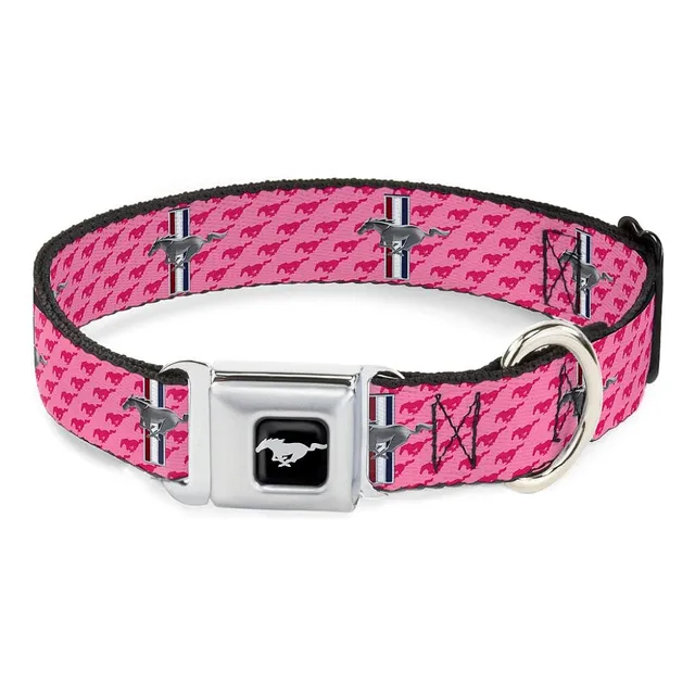 Collar De Perro Con Hebilla Cinturón De Seguridad Hebilla Fo