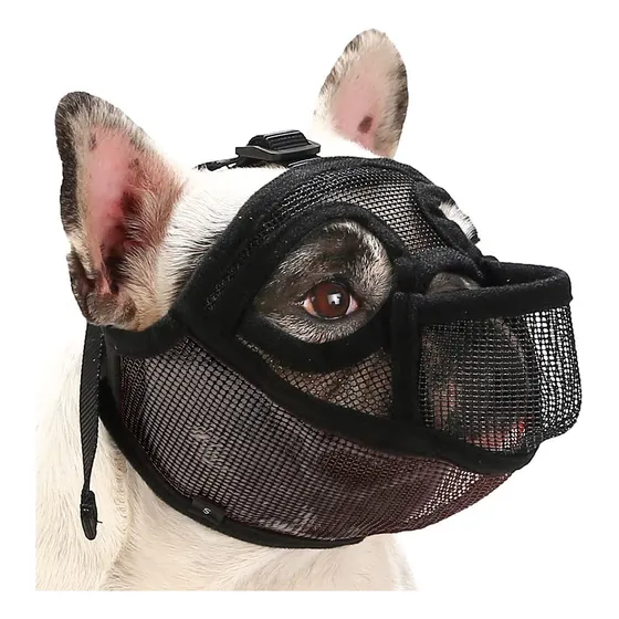 . Focinheira Para Bulldog Francês, Bulldog Inglês, Pug E