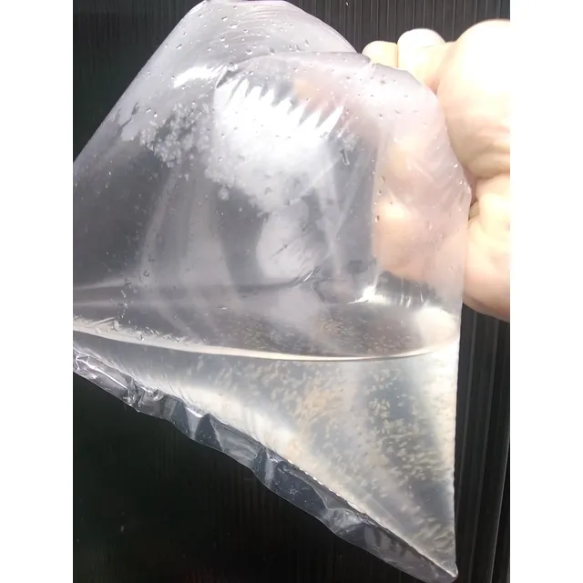 Daphnia Pulex. Pulgas De Agua. Excelente Alimento Vivo!!
