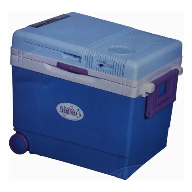 Cava De 33 Litros 12v Dc Para Alimentos Frios O Caliente