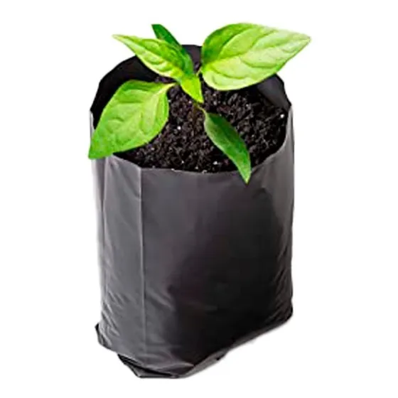 Bolsa Para Vivero Negra 1 Kg 16x18 Cm 