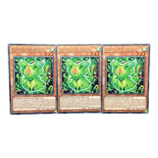 Bururu @ignister Carta Yugioh! Español Bururu @ignister Carta Yugioh! Español