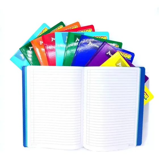 Caja 30 Cuadernos Profesional Cosido Norma ¡ Inmediato! Color Aleatorio