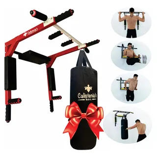 Barra de calistenia mercadolibre sale