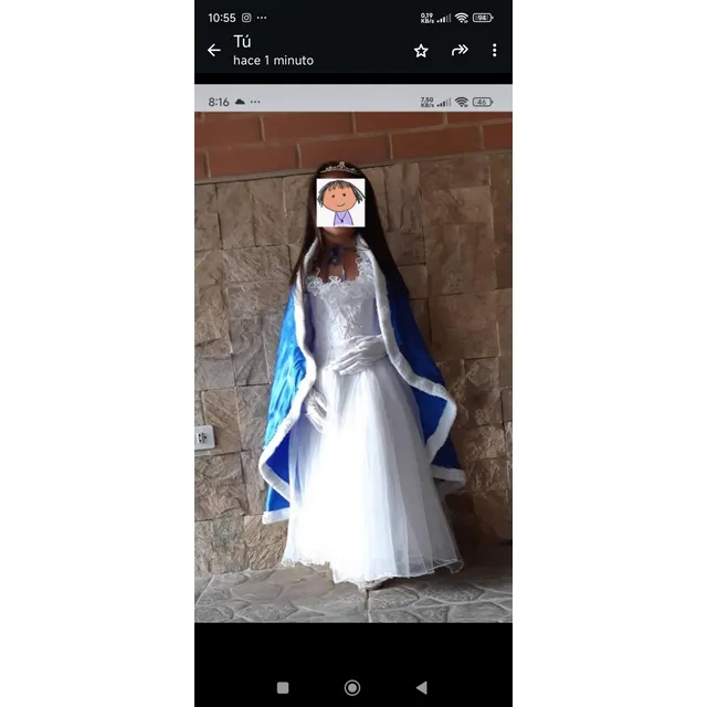 Disfraz De Reina + Corona