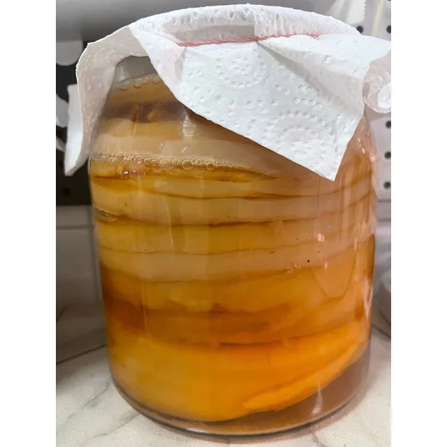 Scoby  Kombucha 5$
