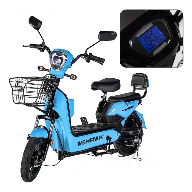 Sport Smart Scooter 500W (100kg)
