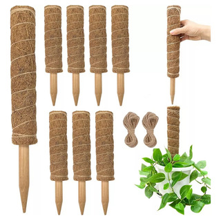 Suporte Tutor De Musgo Y Monstera Para Plantas Poste 8pzs Suporte Tutor De Musgo Y Monstera Para Plantas Poste 8pzs