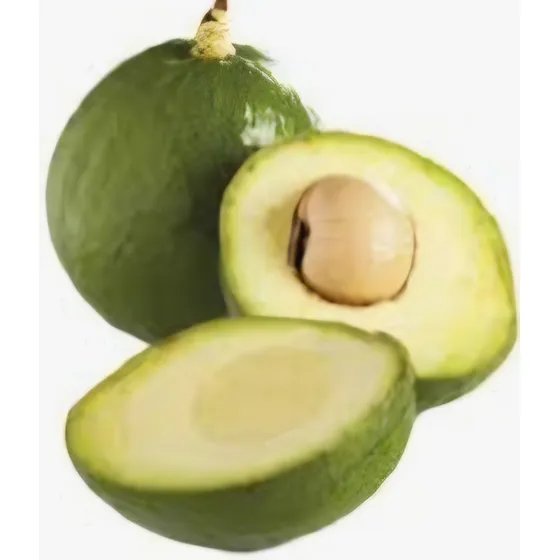 Arbol De Palta