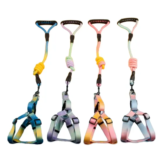 Coleira Peitoral Colorida Degradê Nylon Arcoíris Cão Pequeno
