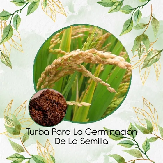 Turba Canadiense Especial Para Semillas De Arroz Secano