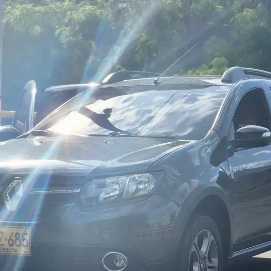 Renault Sandero 2019 Polaris