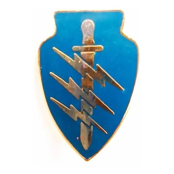Antigua Insignia De Fuerzas Especiales Boinas Verdes! Oferta