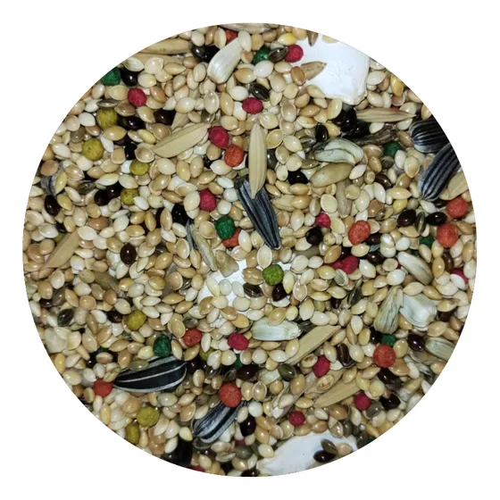 Ração Mistura Calopsita Agapornis 2,5kg Super Premium
