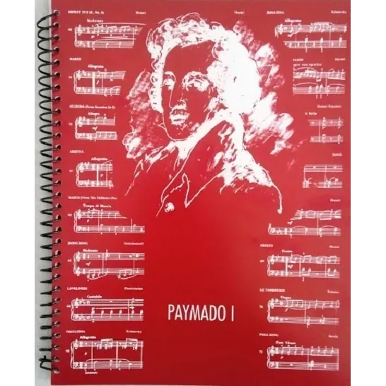 Cuaderno Pentagramado Y Cuadriculado Paymado 1 - Argollado