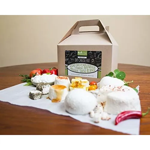 Diy Kit Queso Para Beginners Hacer Mozzarella Requeson 1