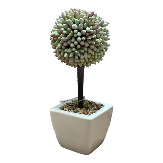 Planta Suculenta Artificial T4005b Planta Suculenta Artificial T4005b