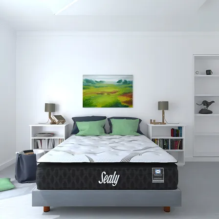 Distribuidor Sealy Colchón Matrimonial Evolution