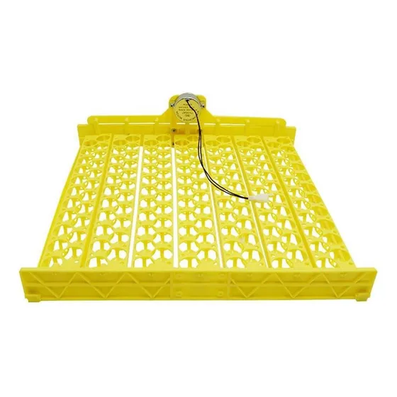 Para Chocar Aves De Ganso Com De Galinha 154 Ovo