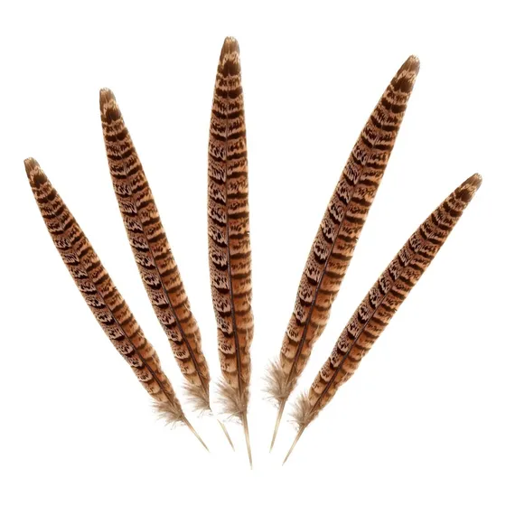 Plumas De Faisán Naturales Con 5 Plumas 30-35cm Plumas De Faisán Para Manualidades, Decoración, Personalización