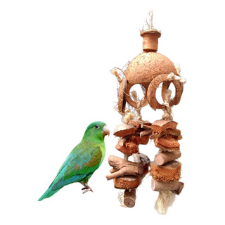 Juguete Colgante Para Aves Loros Pericos Coco Pa Masticar Juguete Colgante Para Aves Loros Pericos Coco Pa Masticar