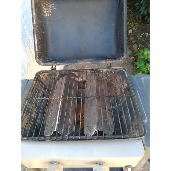 Parrilla A Gas 2 Quemadores Kansas Black American Grill