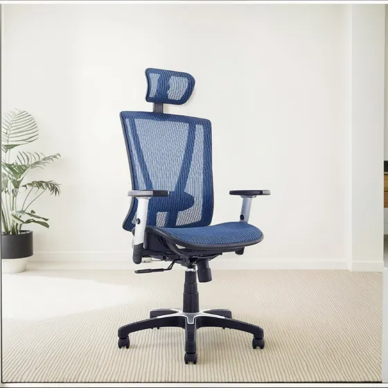 Ergomax Office Msh112bl Ergonomico Altura Ajustable Oficina