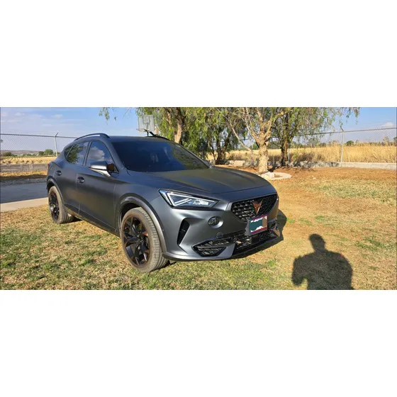 Cupra Formentor 2.0 Vz 310hp 4wd Dsg7