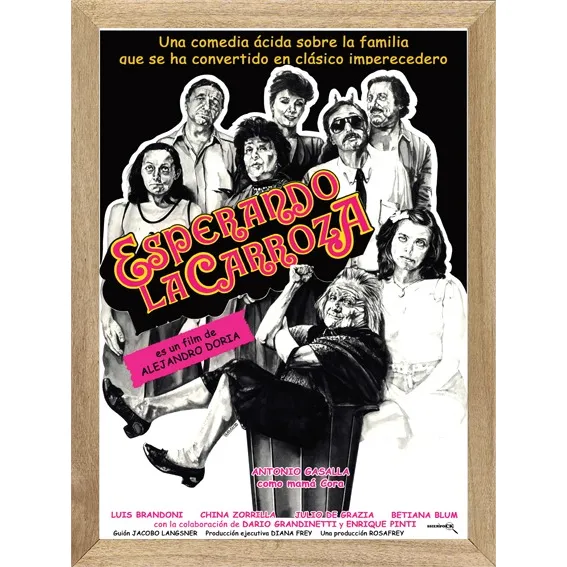Esperando La Carroza, Cuadro, Poster, Cine, Pelicula    L995