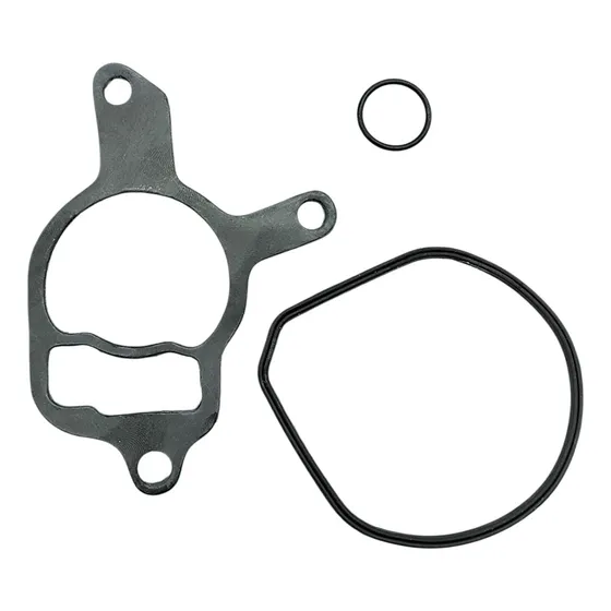 Ligas Empaque Bomba De Vacio Vw Bora Beetle Jetta 2.5