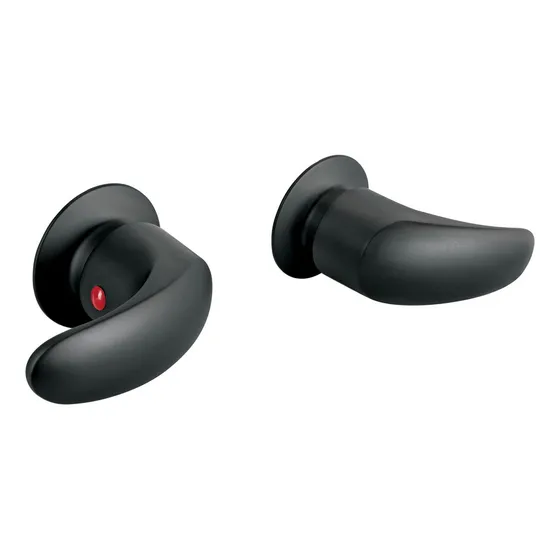 Juego De 2 Manerales Grandes Regadera Negro Foset AQMR-62M Acabado Mate Color Negro