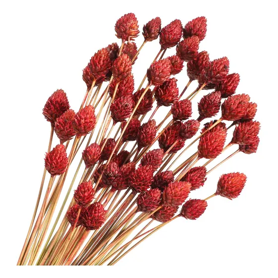 60 Piezas De Flores Secas Rojas Para Ramo De Jarrón A Granel