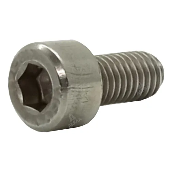 Tornillo Allen Inoxidable T304 M6 X 12mm (50pzs)
