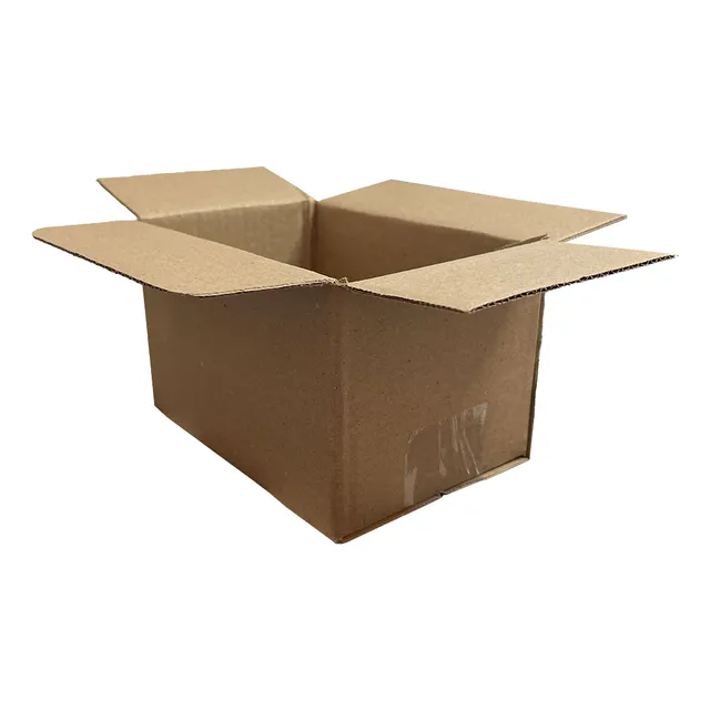 50 Caixas De Papelão Ondulado 16x11x10 E-commerce Pac Sedex