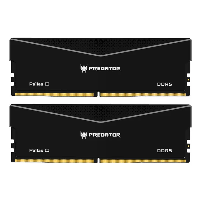 Memoria Ram Predator Palas Ii Ddr5 6000mhz 64gb 2x32gb