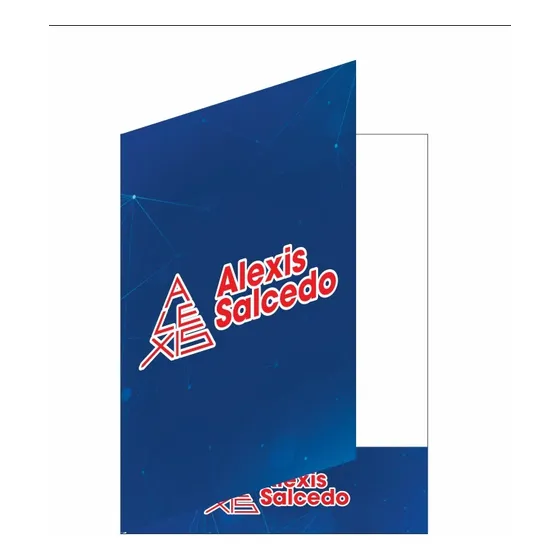 Carpetas Personalizadas Tamaño Carta En Cartón Pack 100