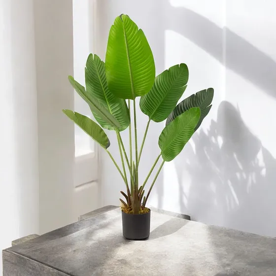 Planta Artificial Paradise Birds 120 Cm/8 Hojas Arbusto Real