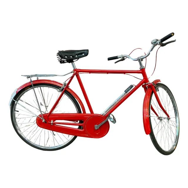 Bicicleta Antigua Para Dama Y Hombre Cromadas Nuevas Crazy