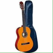 Guitarra Con Su Funda Se Estuche