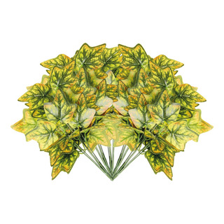 Paquete 5 Plantas Artificiales Tropicales Falsas Codiaeum Paquete 5 Plantas Artificiales Tropicales Falsas Codiaeum
